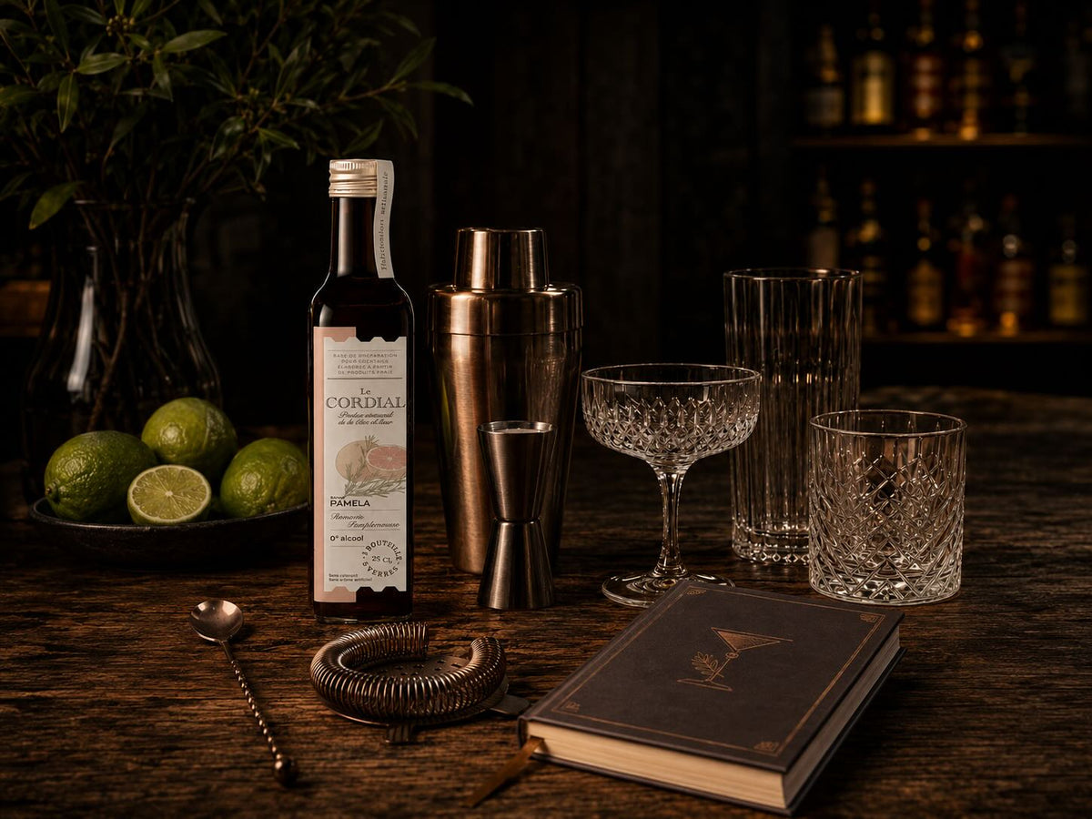 Mes 11 idées cadeaux pour les amoureux de mixologie et cocktails